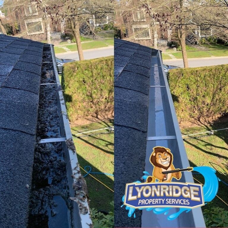 gutter clean