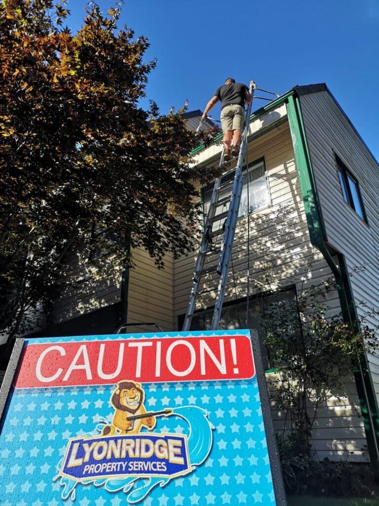 Roof Washing Ladder