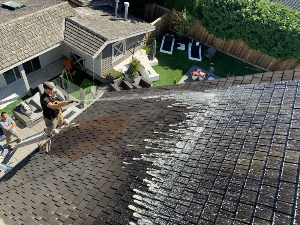 Roof Cleaning