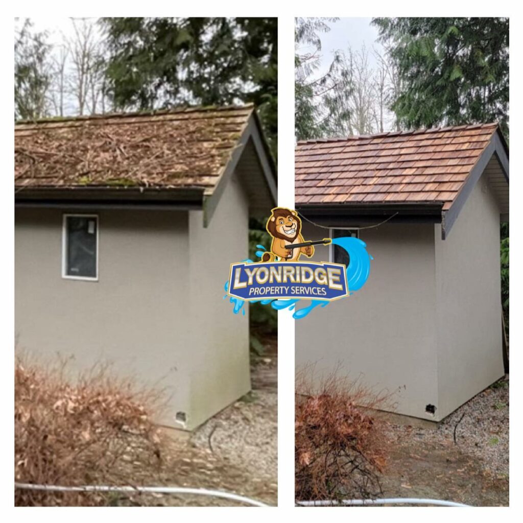 Roof Cleaner Delta
