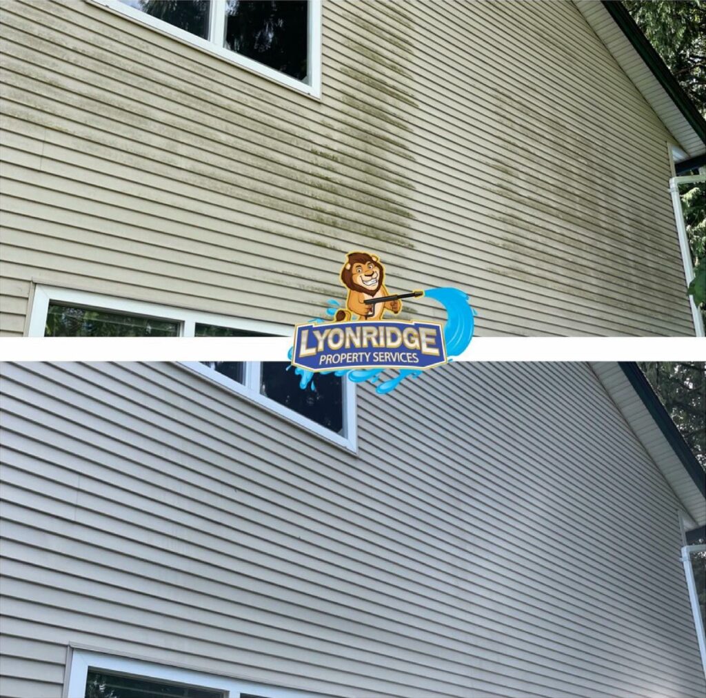 exterior house cleaning Burnaby
