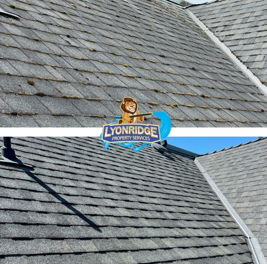 roof cleaner Burnaby