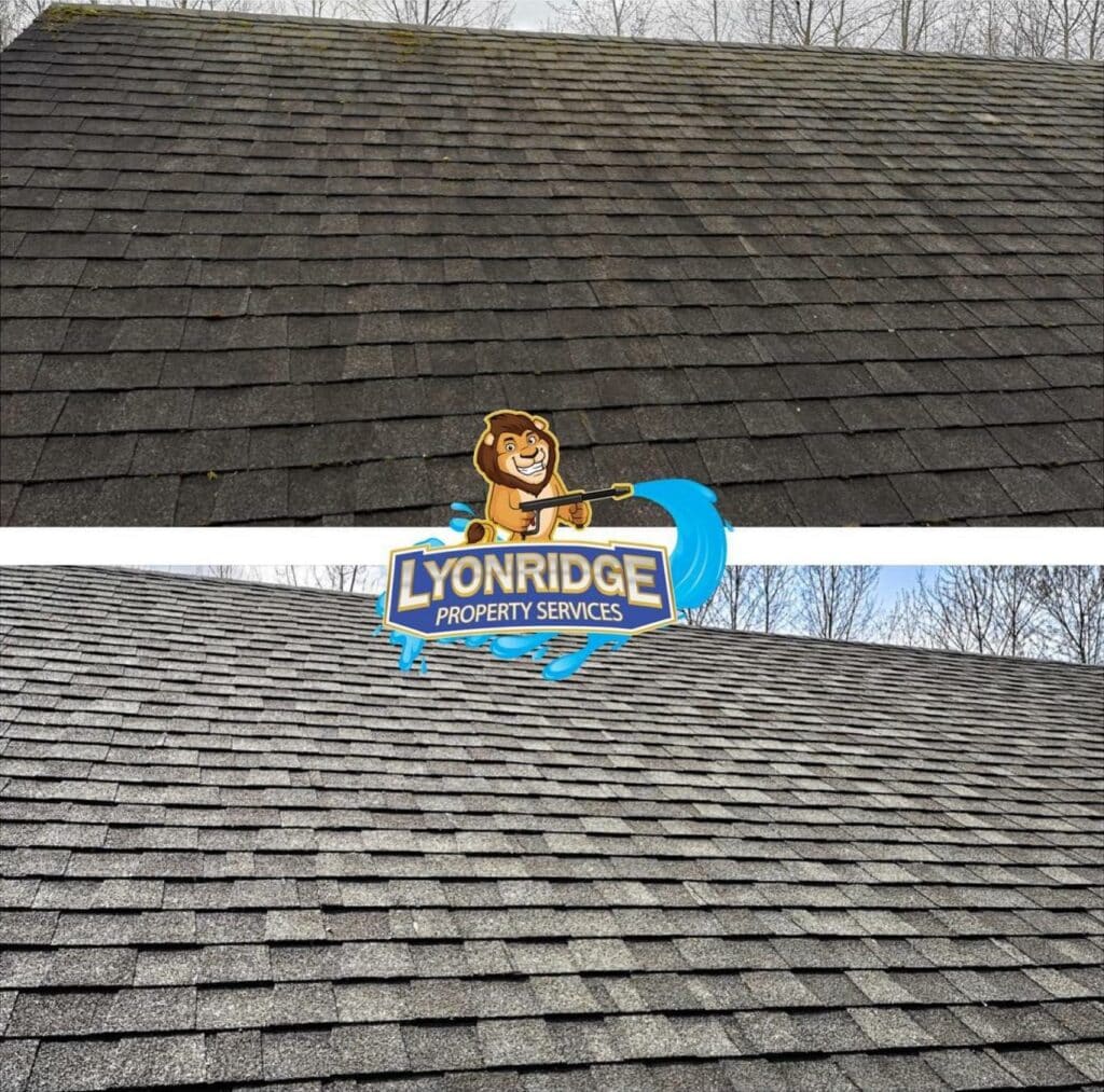 roof cleaning Coquitlam