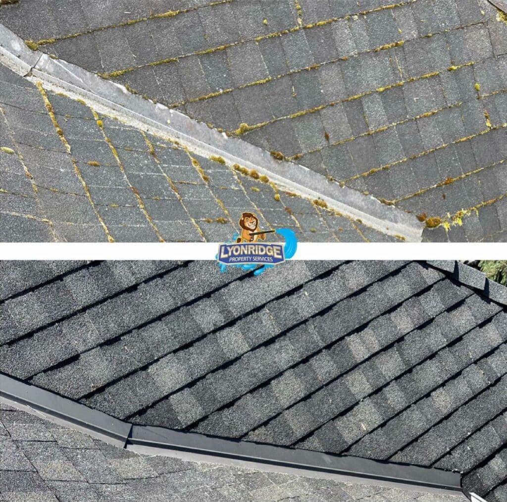 roof maintenance