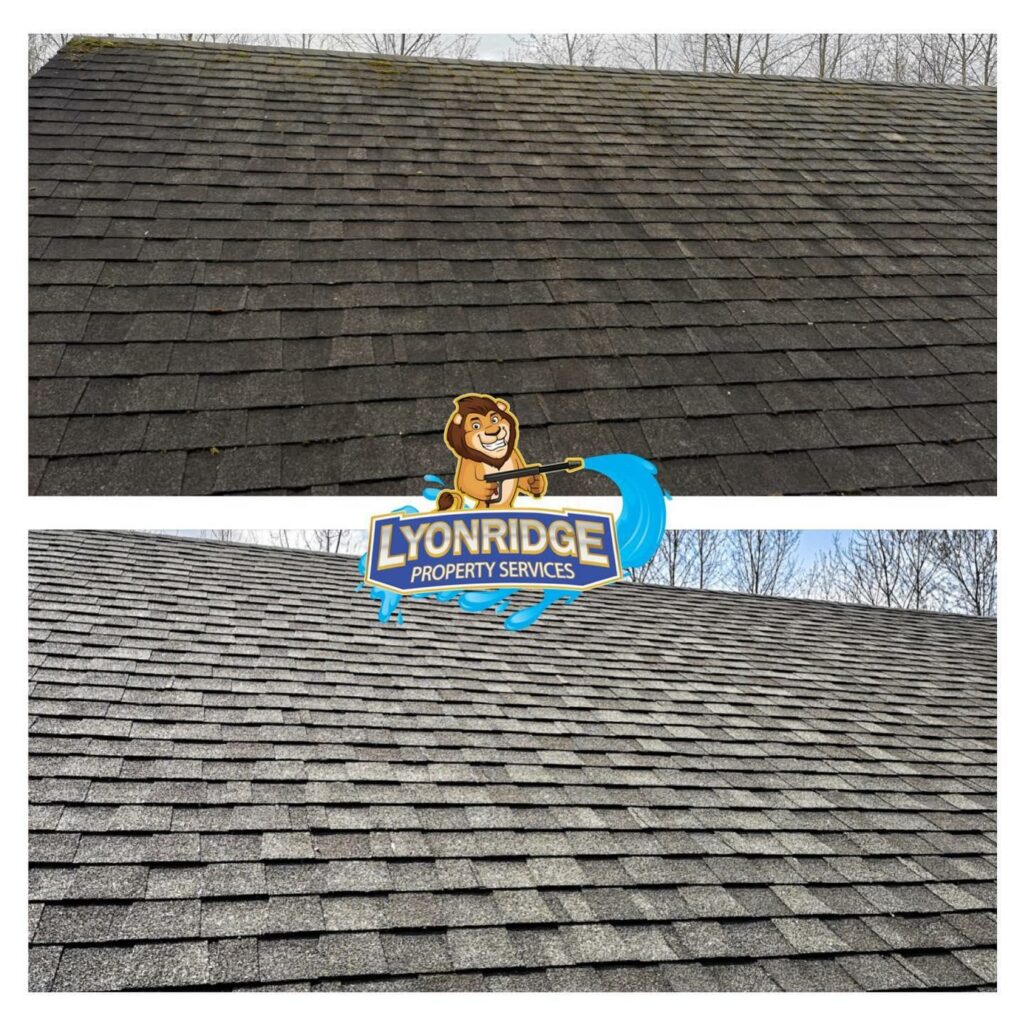 roof cleaner Langley