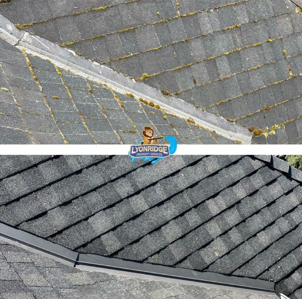 Top-Rated Roof Cleaning in Vancouver​