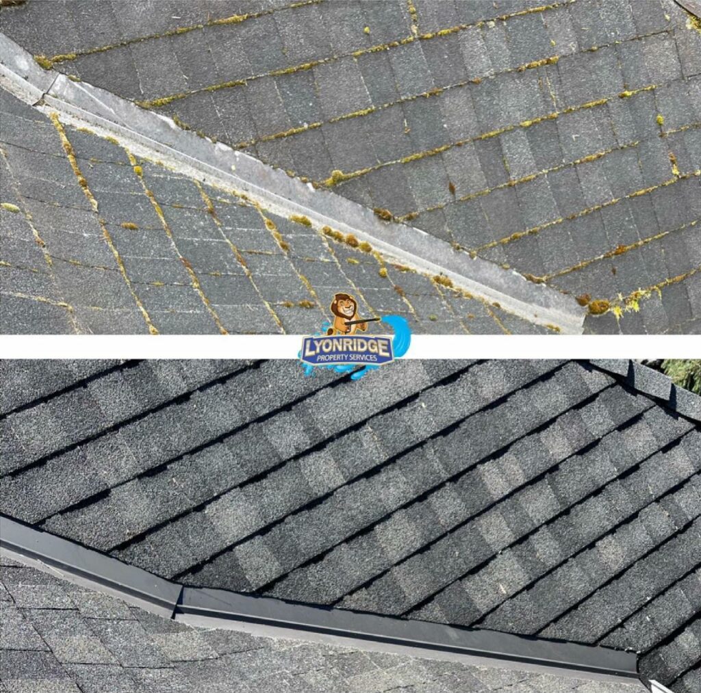 Roof Cleaner Surrey