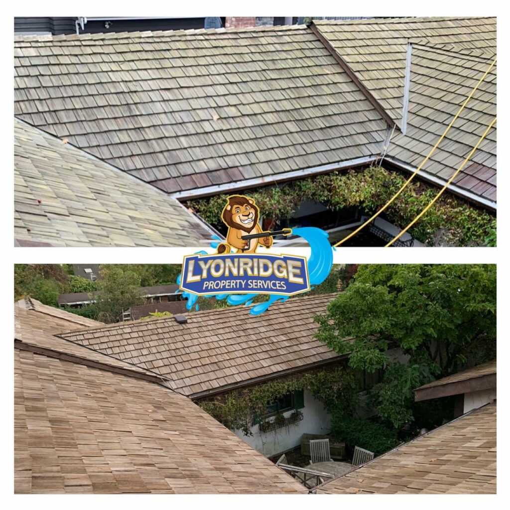 Roof Cleaner Richmond