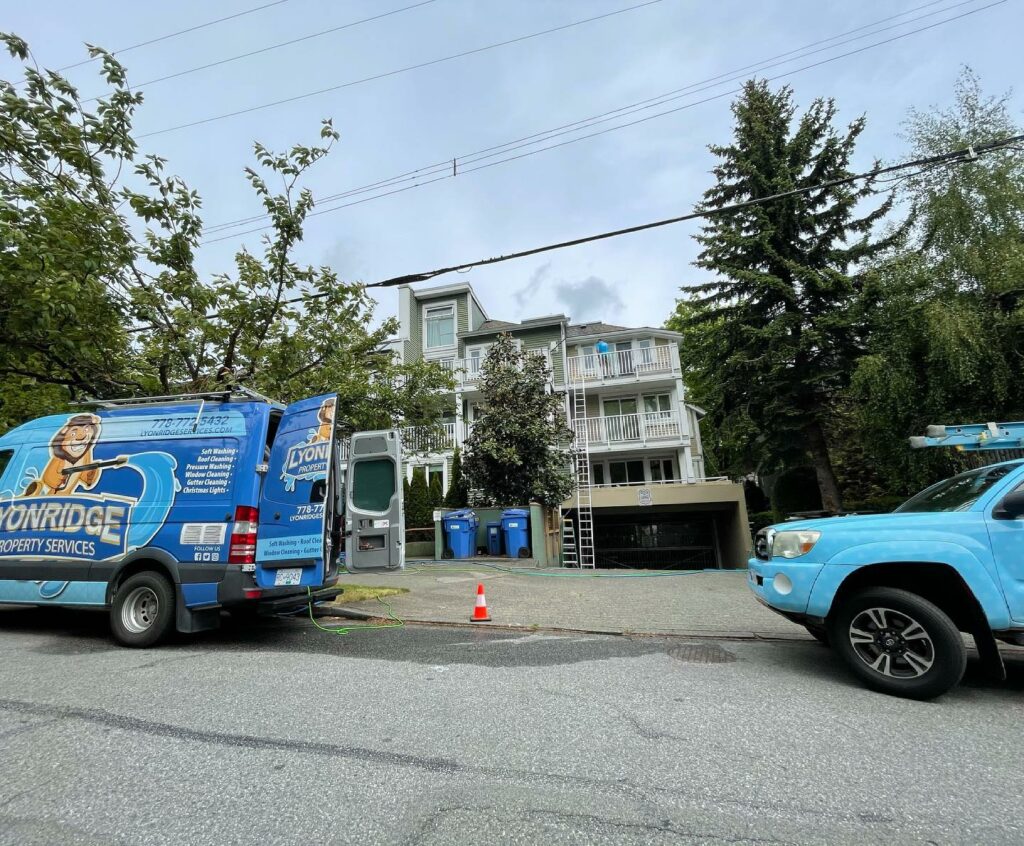 burnaby window cleaning near me