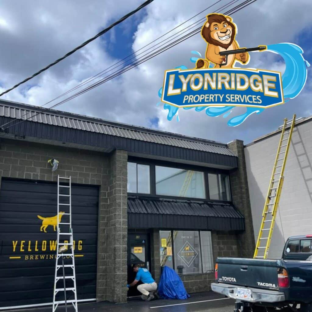 commercial window cleaning coquitlam bc