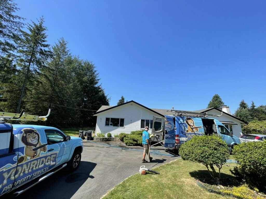 exterior house cleaning langley township bc