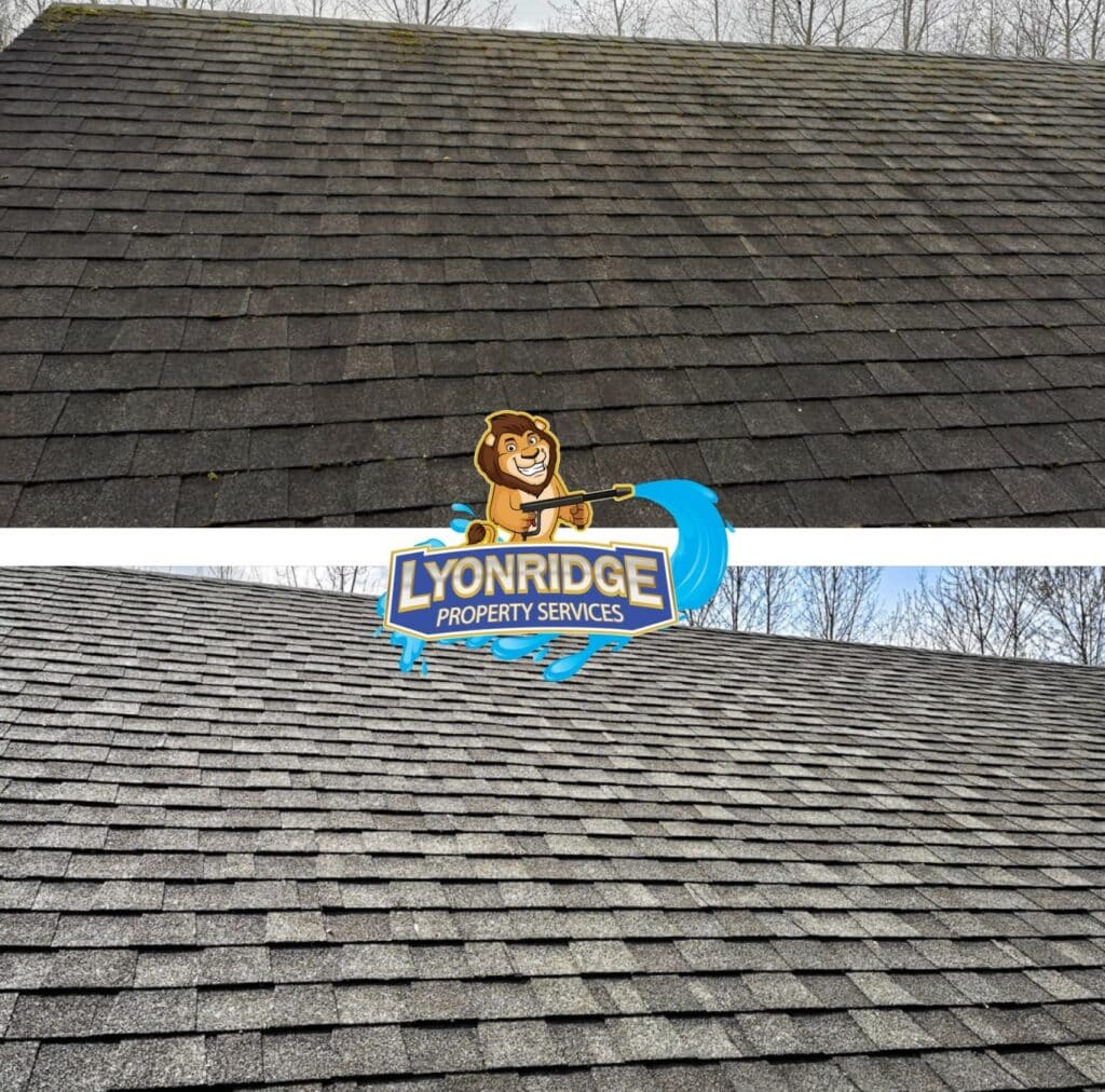 maple ridge roof cleaning near me