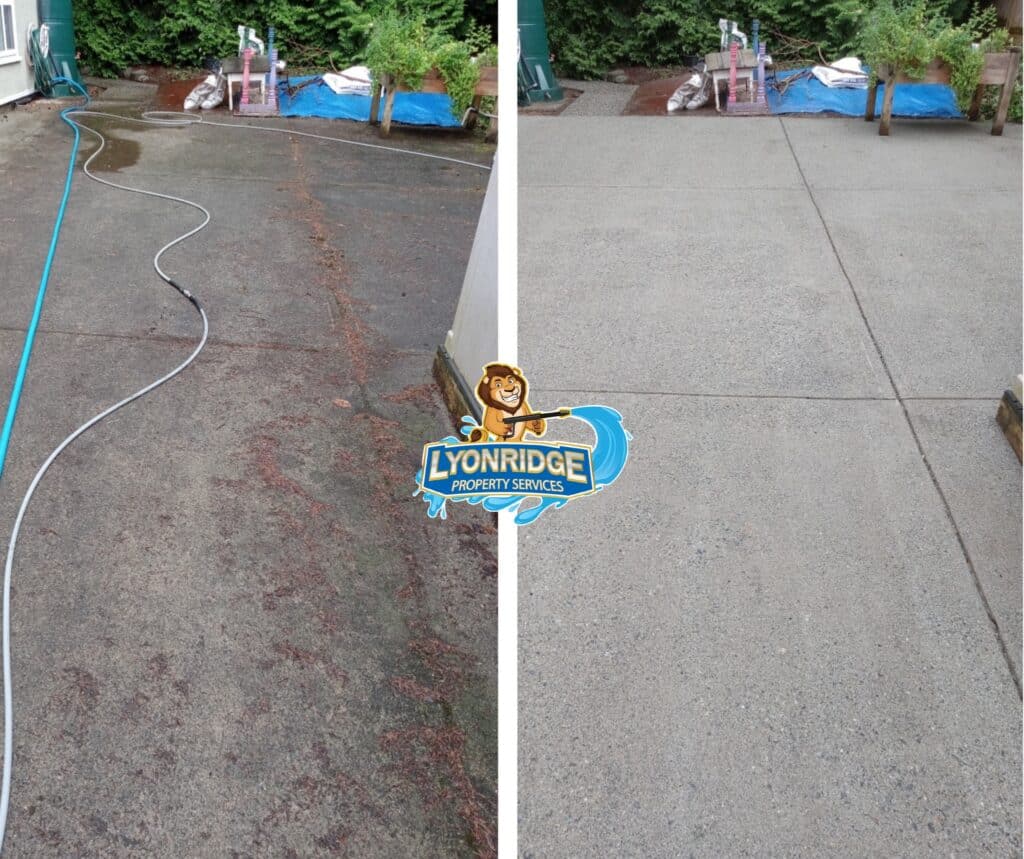 power washing langley township bc