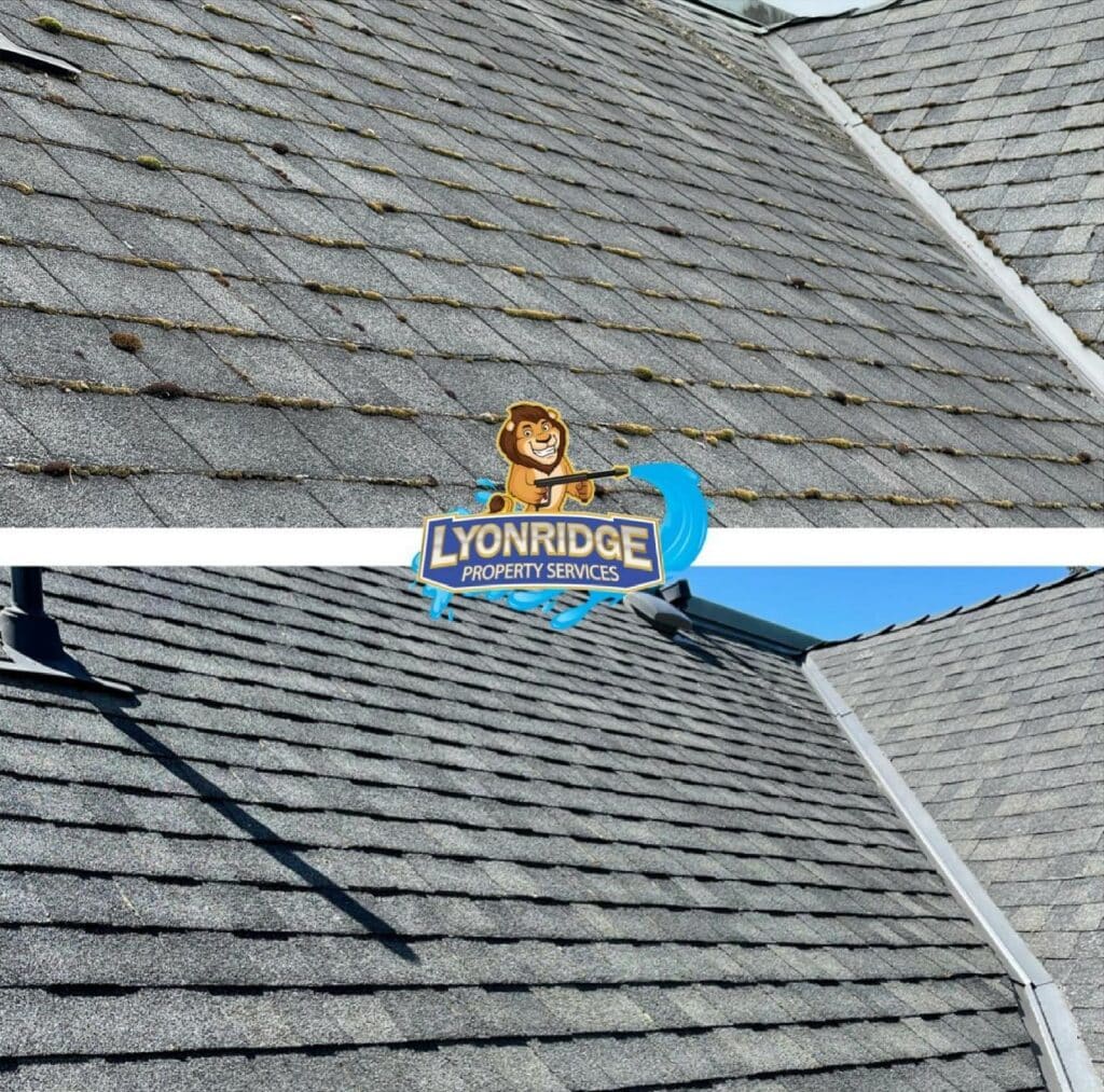 roof cleaning maple ridge bc