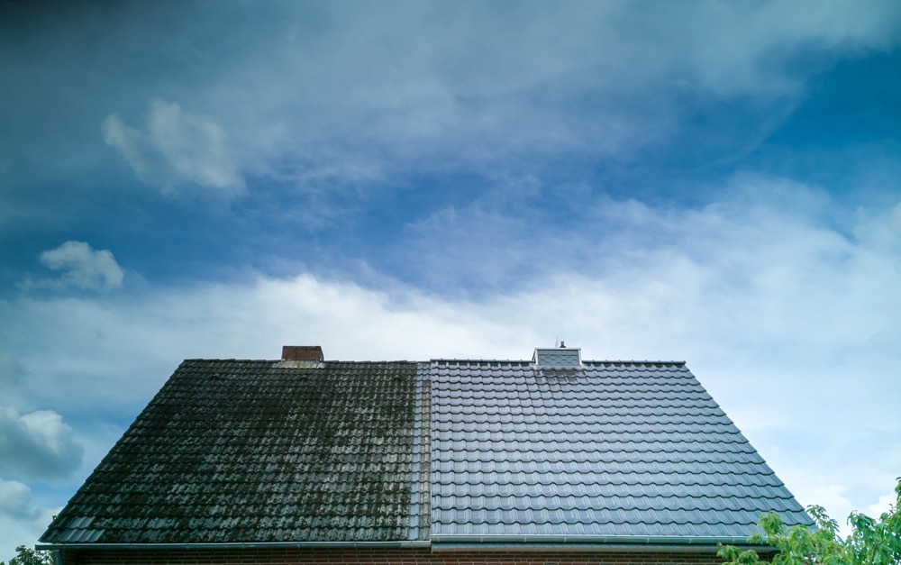half cleaned roof moss in coquitlam
